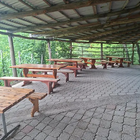 Skrivnosti Gozda