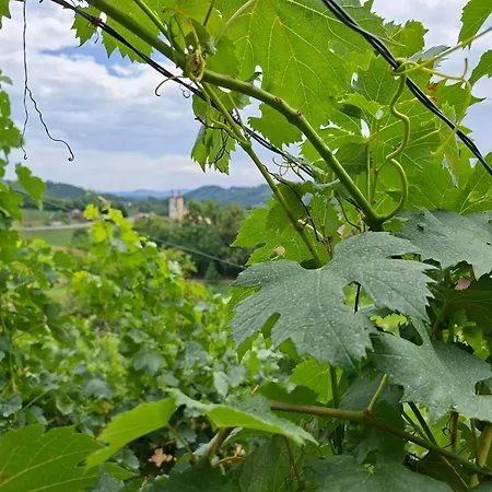 Apartman Skrivnosti Gozda Šmarje pri Jelšah