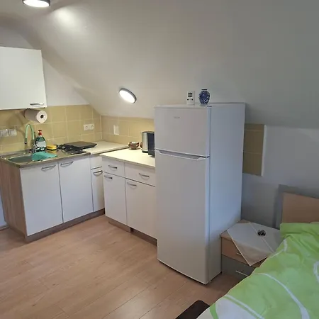 Skrivnosti Gozda * Šmarje pri Jelšah