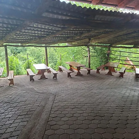 Apartman Skrivnosti Gozda