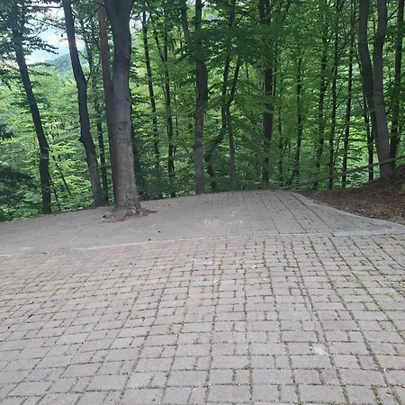 Skrivnosti Gozda Apartman *