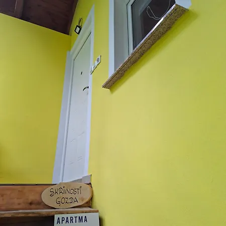 Skrivnosti Gozda *
